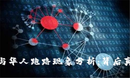 加密货币投资与华人跑路现象分析：背后真相与预防措施