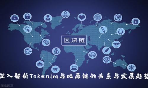 深入解析Tokenim与比原链的关系与发展趋势