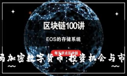 2020年黑马加密数字货币：投资机会与市场趋势分析