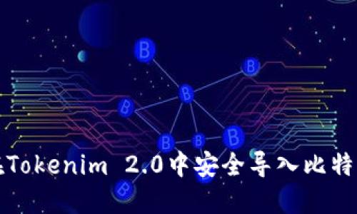 如何在Tokenim 2.0中安全导入比特派私钥