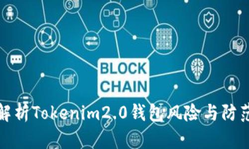 深入解析Tokenim2.0钱包风险与防范措施